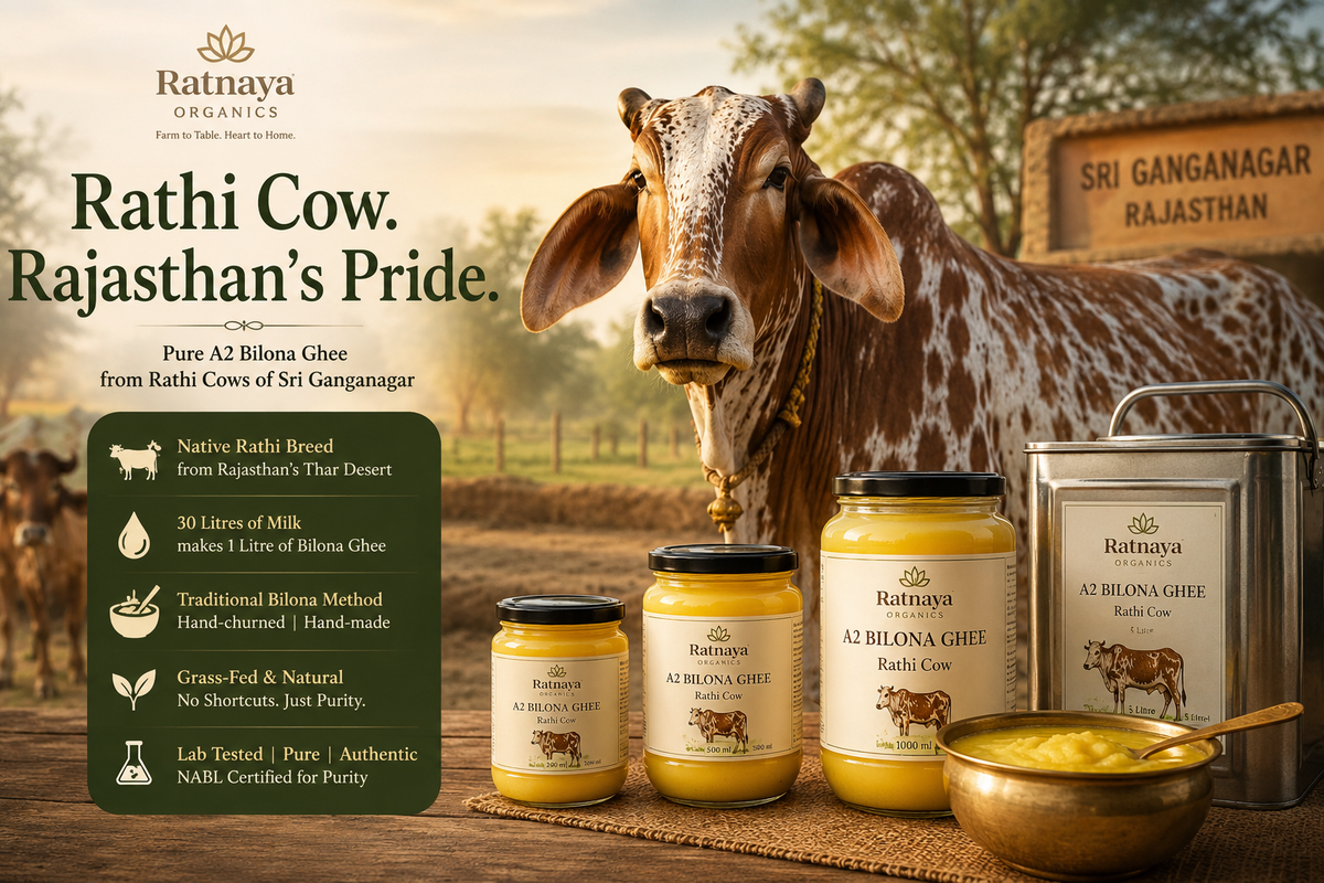 Rathi Cow - Rajasthan's Indigenous A2 Breed - Ratnaya Organics