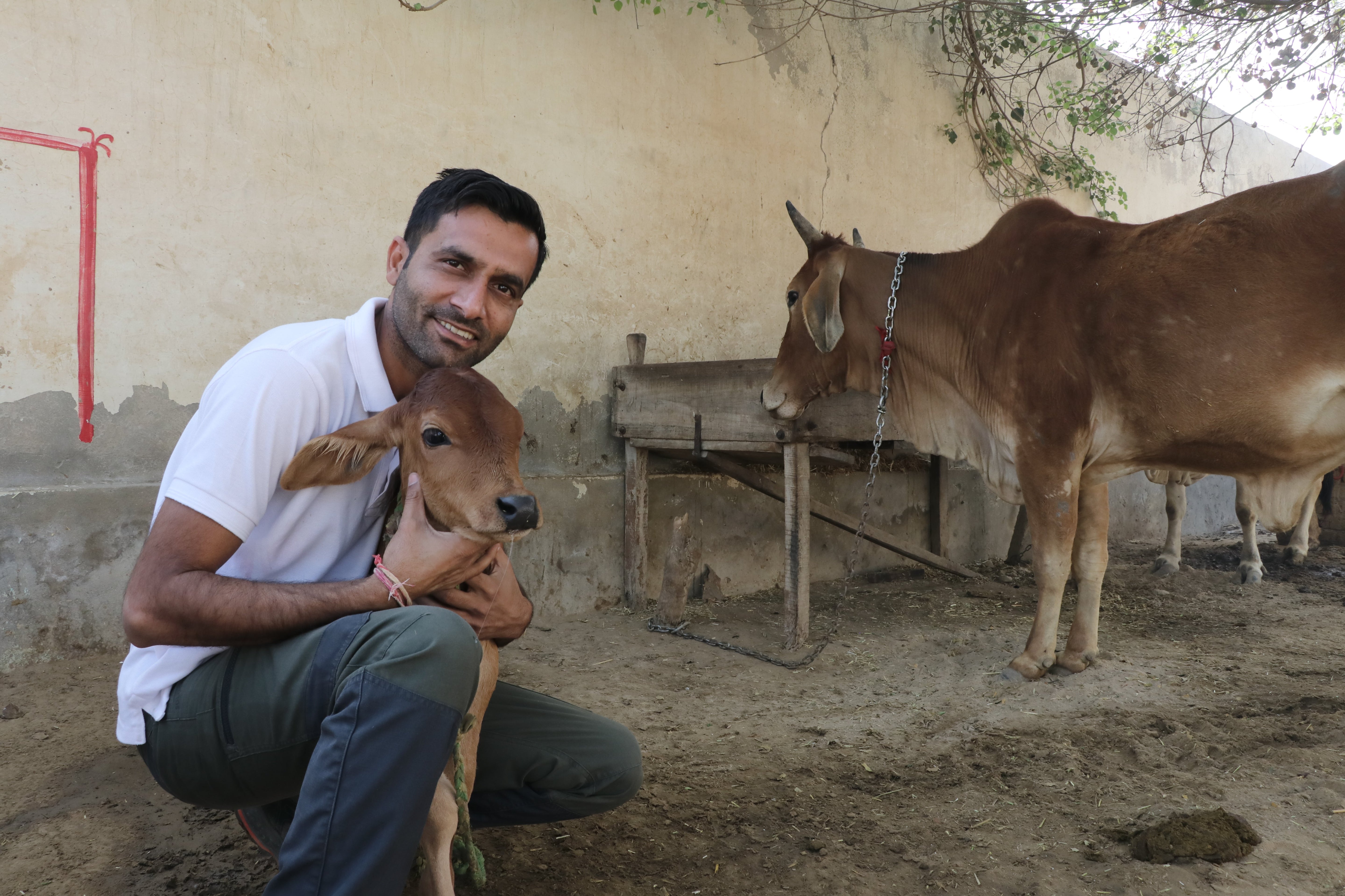 Best A2 Bilona Ghee in India 2025 – Ratnaya Organics - Ratnaya Organics