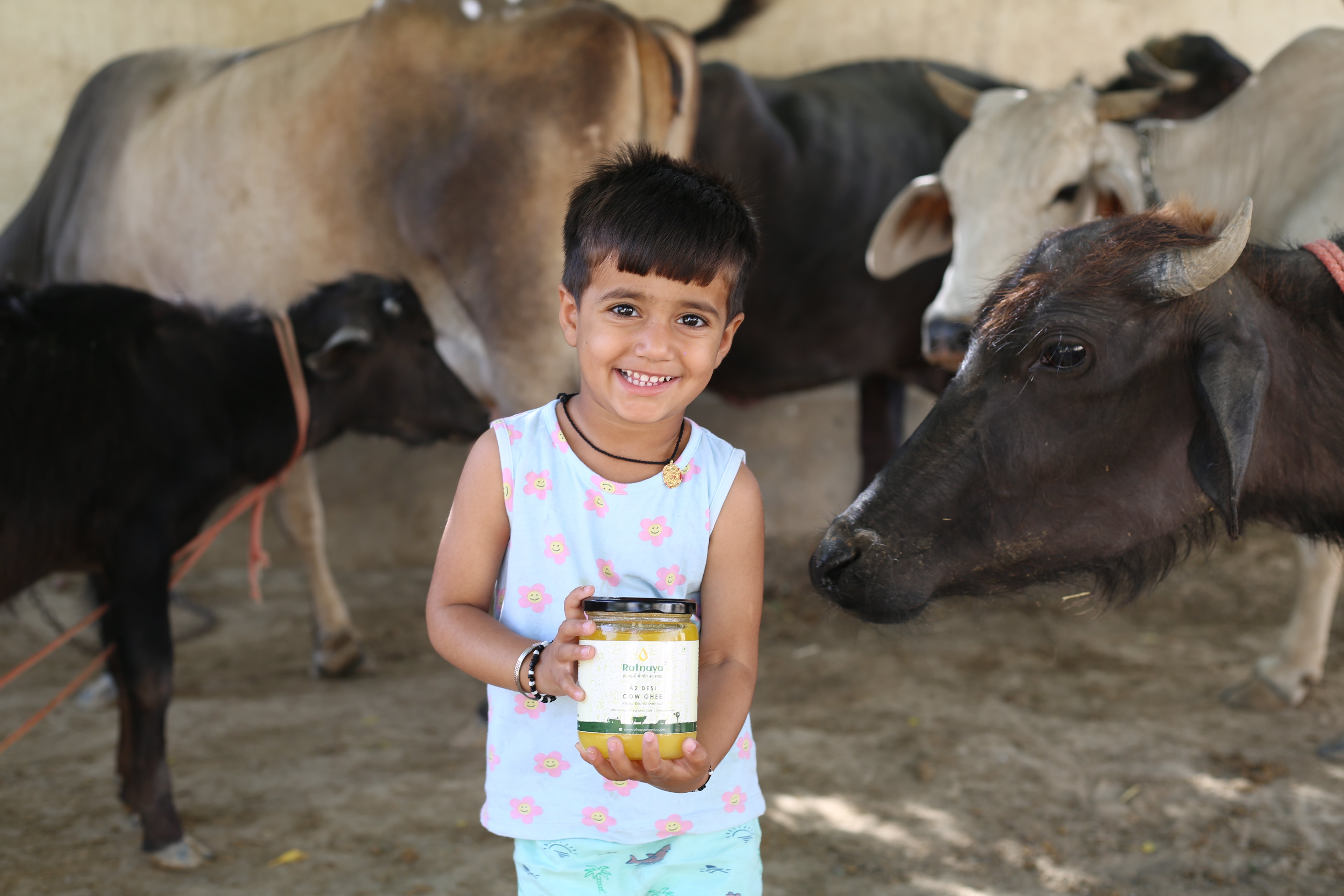 Desi Ghee Price in India – All You Need to Know About A2 Cow Ghee - Ratnaya Organics