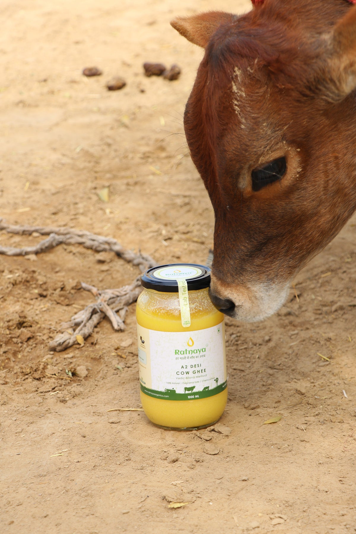 Buy A2 Rathi Cow Ghee Online – Pure Bilona Ghee | 500ml, 1L & 5L Jars ...