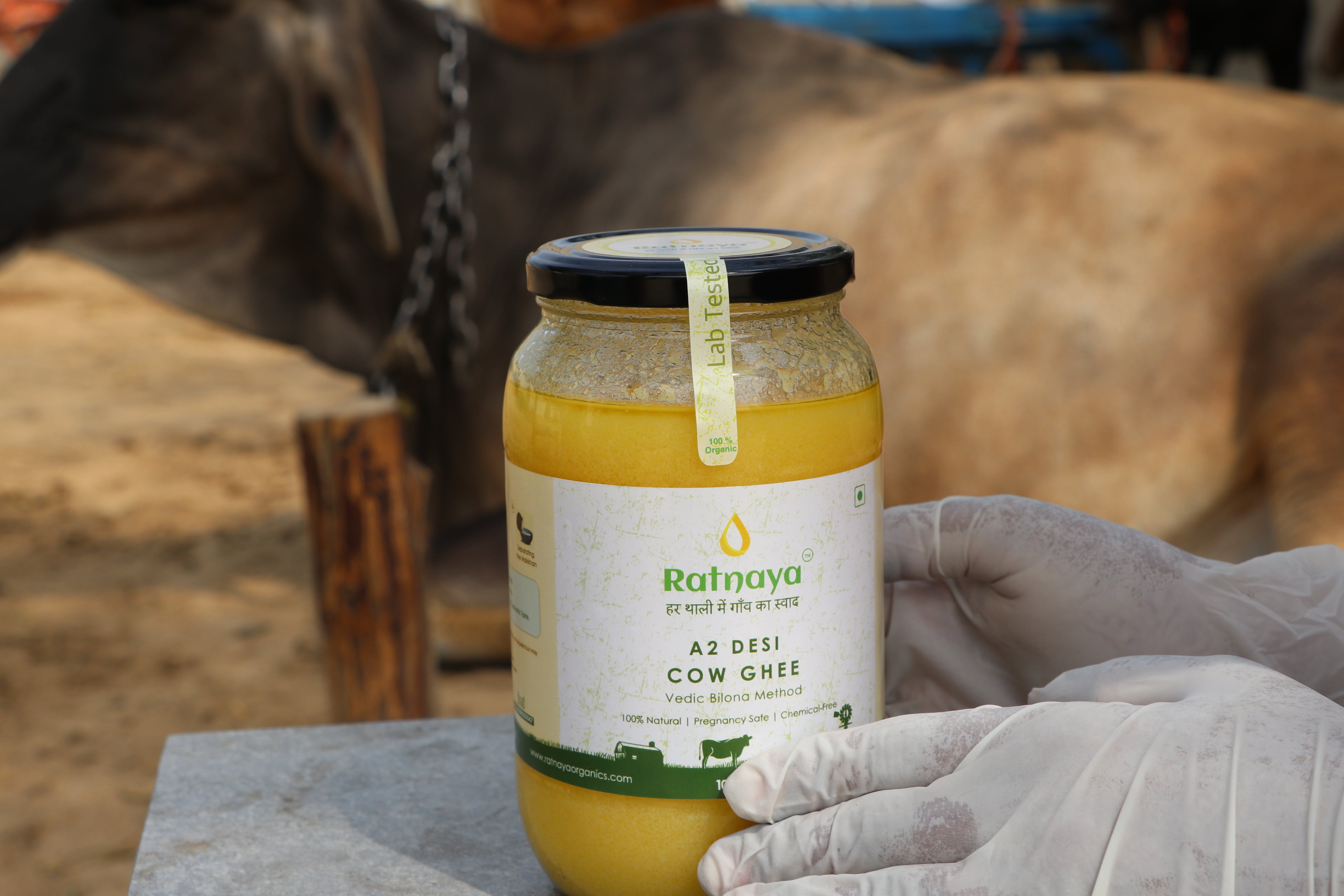 Pure Desi Ghee: Everything You Need to Know About Its Benefits, Making, and Best Choices - Ratnaya Organics