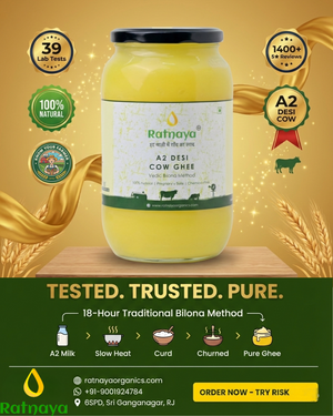 A2 Desi Cow Ghee 500ml Jar | Bilona-Churned - Ratnaya Organics