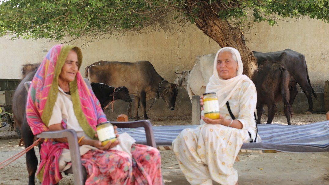Farming families in Rajasthan