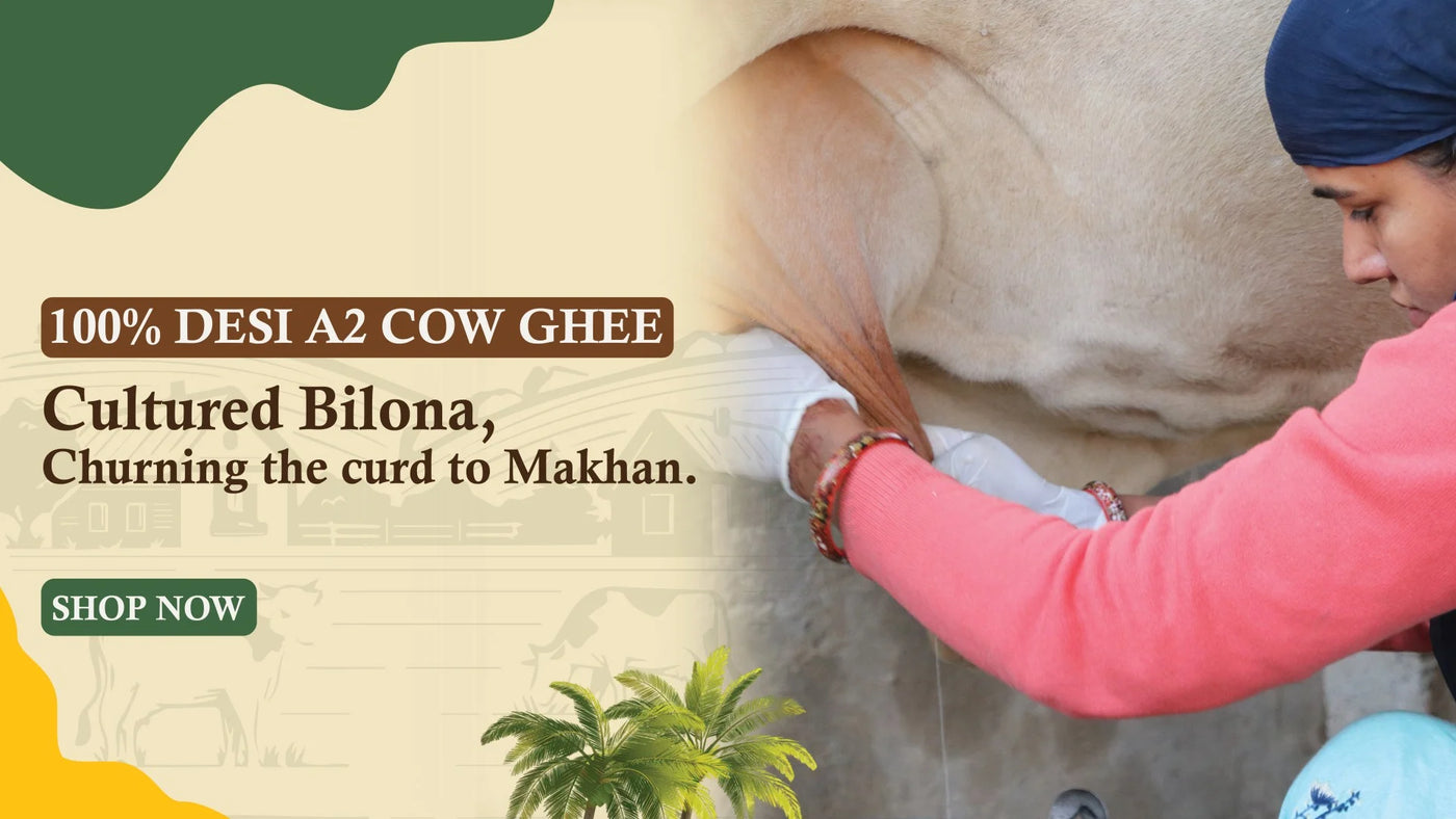 ratnaya website banner 2